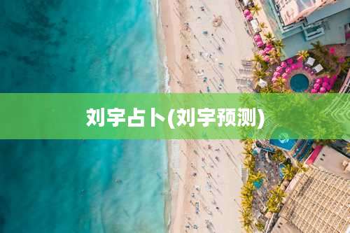 刘宇占卜(刘宇预测)