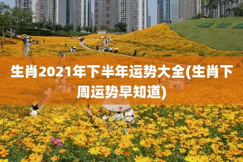 生肖2021年下半年运势大全(生肖下周运势早知道)