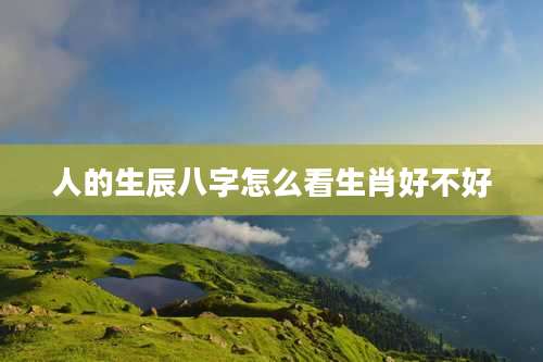人的生辰八字怎么看生肖好不好