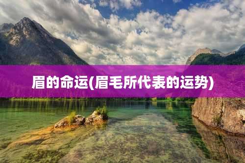 眉的命运(眉毛所代表的运势)