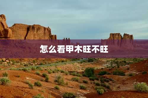 怎么看甲木旺不旺