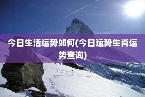 今日生活运势如何(今日运势生肖运势查询)