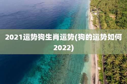 2021运势狗生肖运势(狗的运势如何2022)