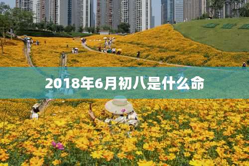 2018年6月初八是什么命