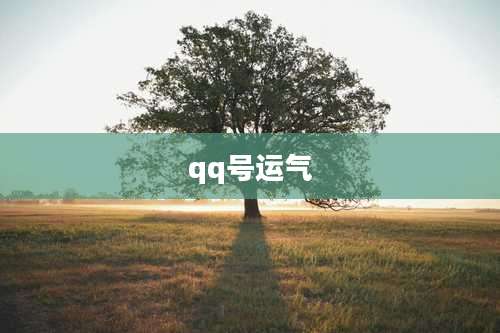 qq号运气