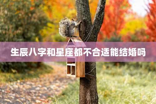 生辰八字和星座都不合适能结婚吗