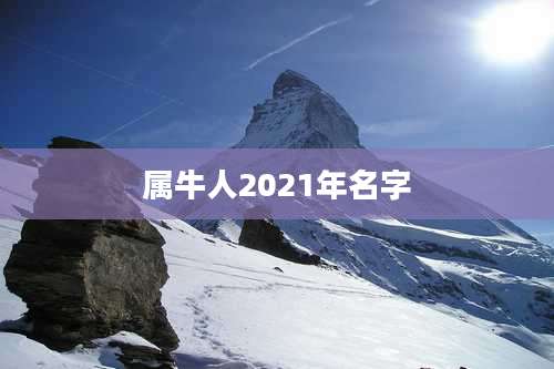 属牛人2021年名字