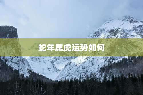 蛇年属虎运势如何