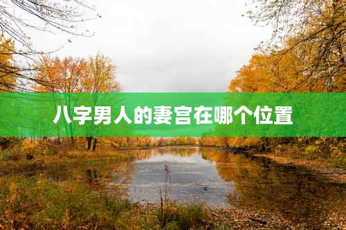 八字男人的妻宫在哪个位置