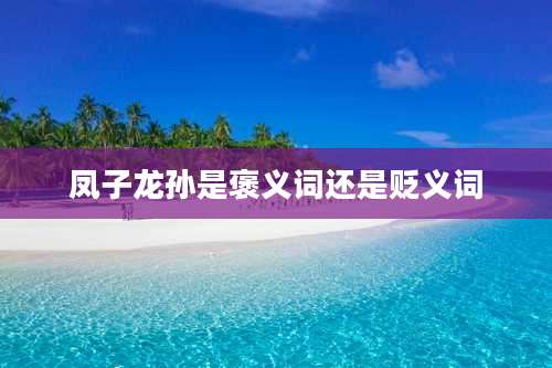 凤子龙孙是褒义词还是贬义词