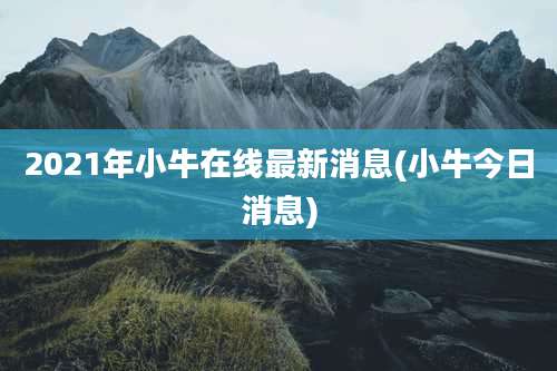 2021年小牛在线最新消息(小牛今日消息)