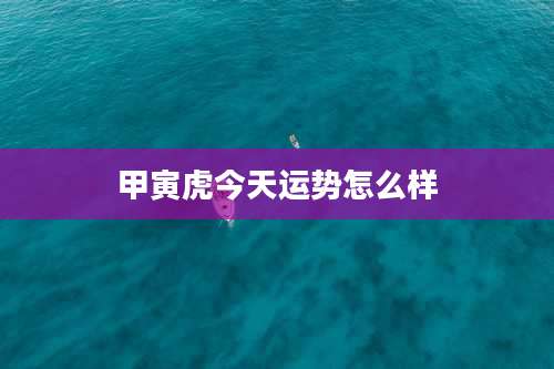 甲寅虎今天运势怎么样