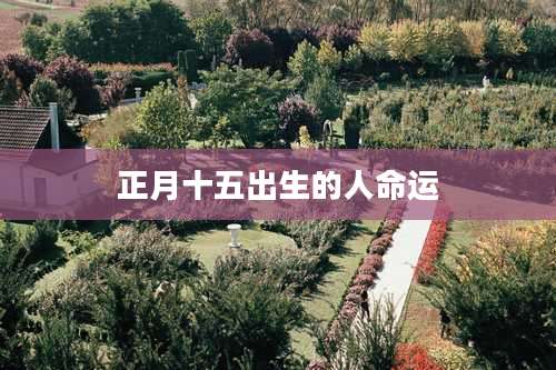 正月十五出生的人命运