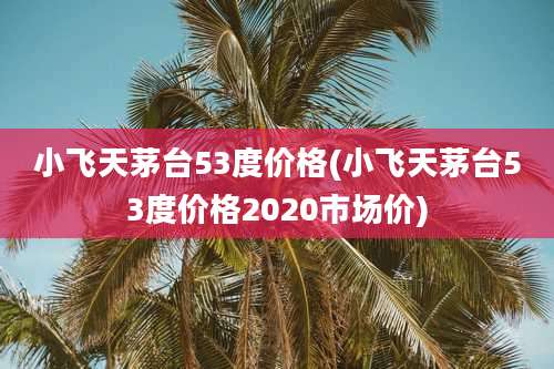 小飞天茅台53度价格(小飞天茅台53度价格2020市场价)