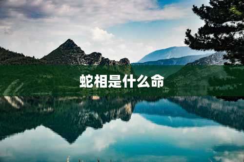 蛇相是什么命