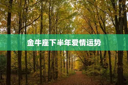 金牛座下半年爱情运势