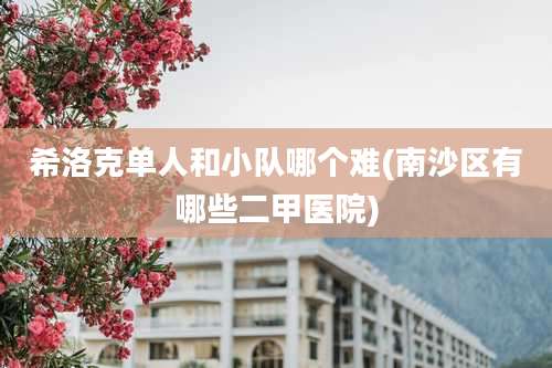 希洛克单人和小队哪个难(南沙区有哪些二甲医院)
