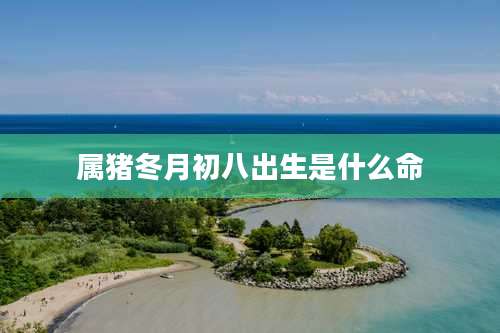 属猪冬月初八出生是什么命