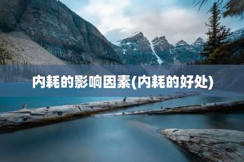 内耗的影响因素(内耗的好处)