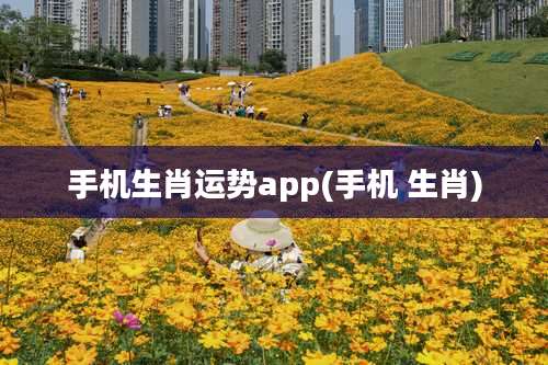 手机生肖运势app(手机 生肖)