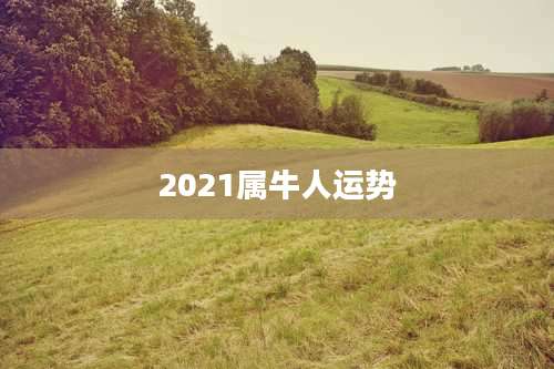 2021属牛人运势