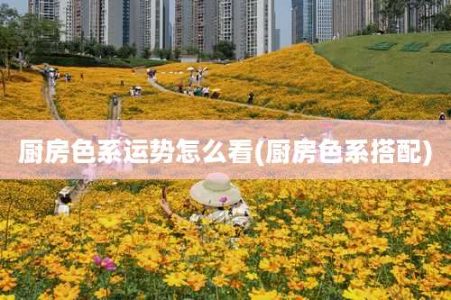 厨房色系运势怎么看(厨房色系搭配)