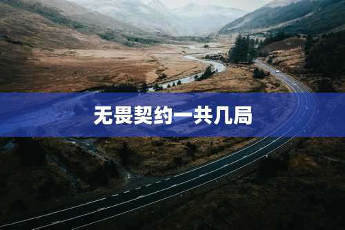 无畏契约一共几局