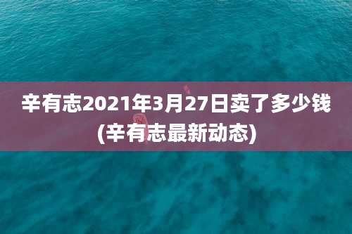 辛有志2021年3月27日卖了多少钱(辛有志最新动态)