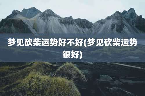 梦见砍柴运势好不好(梦见砍柴运势很好)