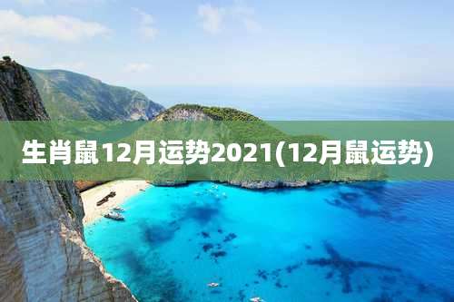 生肖鼠12月运势2021(12月鼠运势)