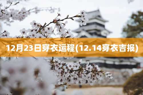 12月23日穿衣运程(12.14穿衣吉报)