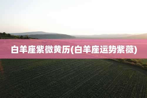 白羊座紫微黄历(白羊座运势紫薇)