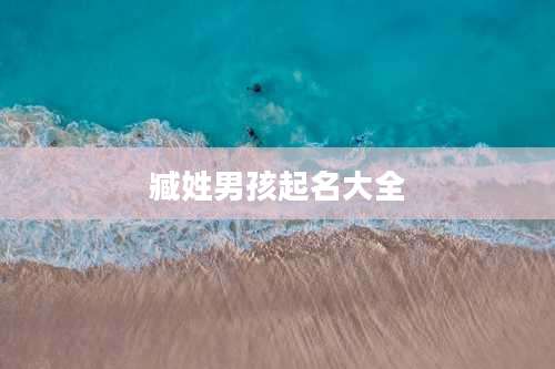 臧姓男孩起名大全