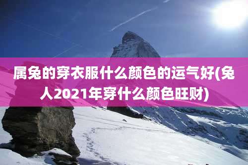 属兔的穿衣服什么颜色的运气好(兔人2021年穿什么颜色旺财)