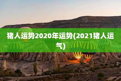 猪人运势2020年运势(2021猪人运气)