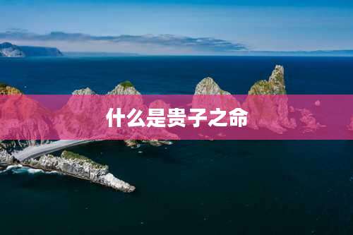 什么是贵子之命