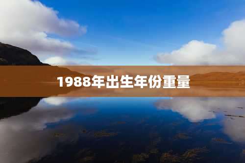 1988年出生年份重量