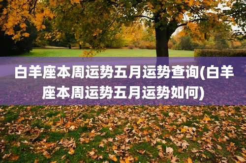 白羊座本周运势五月运势查询(白羊座本周运势五月运势如何)