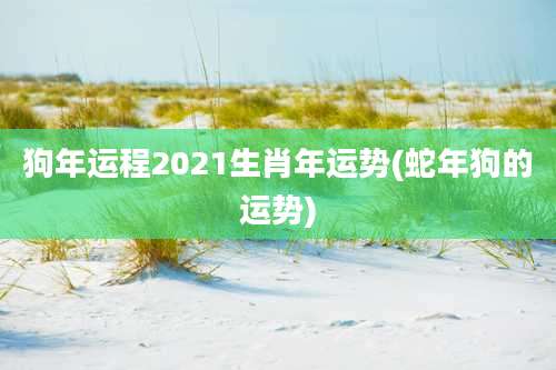 狗年运程2021生肖年运势(蛇年狗的运势)