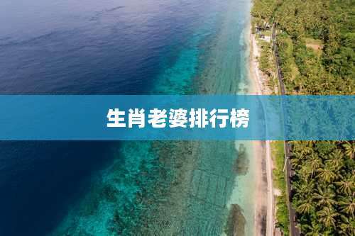 生肖老婆排行榜