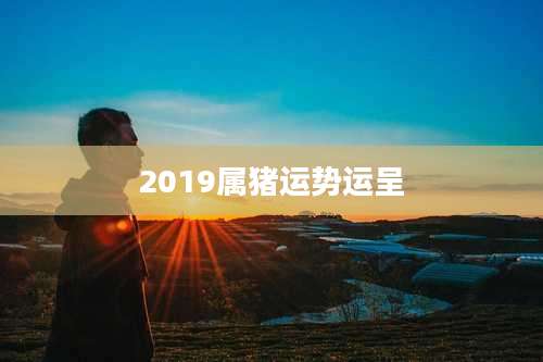 2019属猪运势运呈