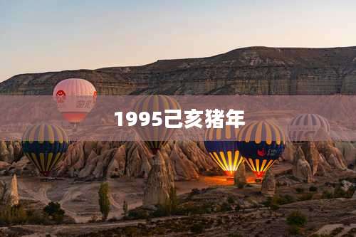1995己亥猪年