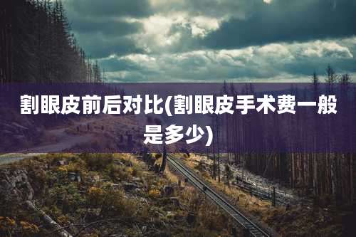 割眼皮前后对比(割眼皮手术费一般是多少)
