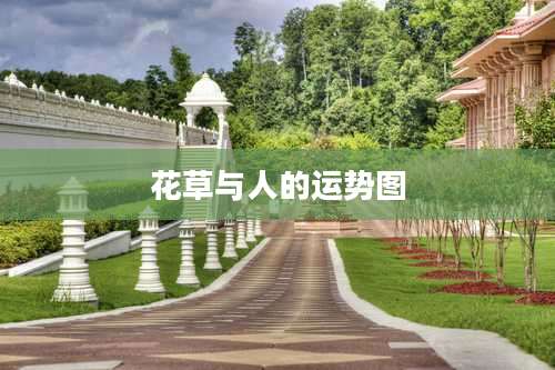 花草与人的运势图
