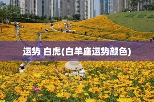 运势 白虎(白羊座运势颜色)