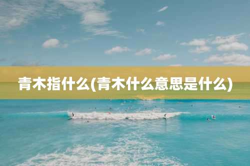 青木指什么(青木什么意思是什么)