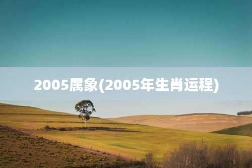 2005属象(2005年生肖运程)