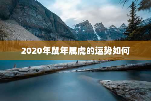 2020年鼠年属虎的运势如何