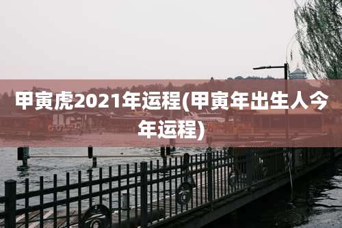 甲寅虎2021年运程(甲寅年出生人今年运程)