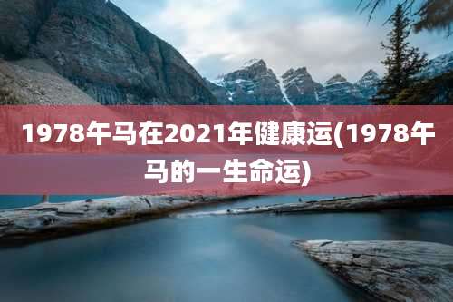 1978午马在2021年健康运(1978午马的一生命运)